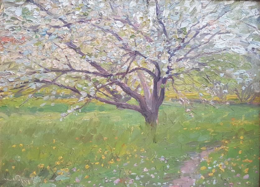 L'amandier Marcel POGGIOLI