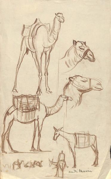 Croquis Egypte André MAIRE