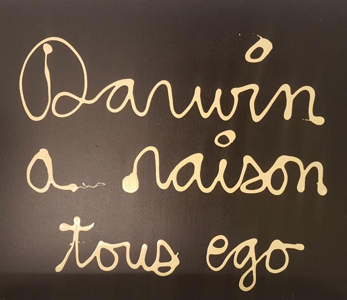 Darwin a raison tous égo, 2010 BEN VAUTIER