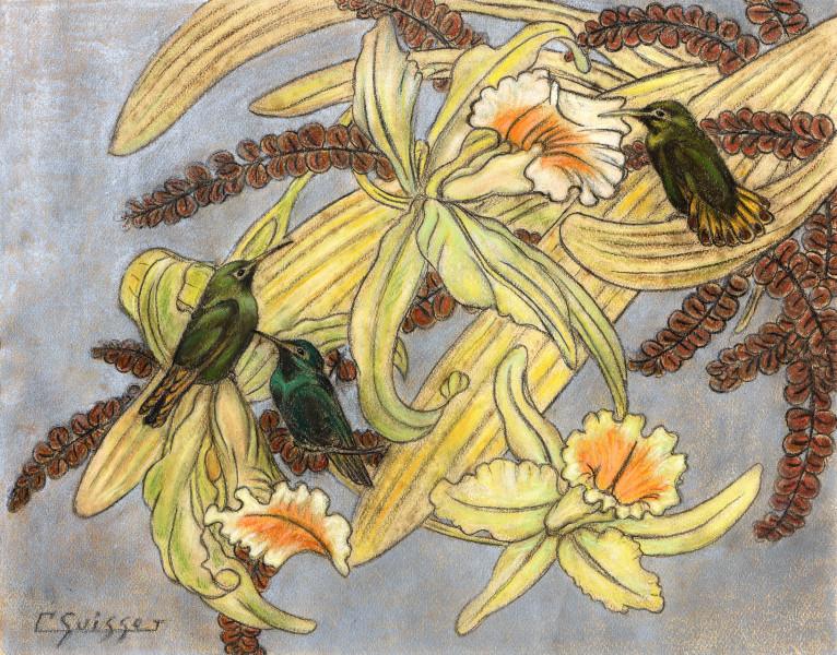 Colibris dans les orchidées Gaston SUISSE