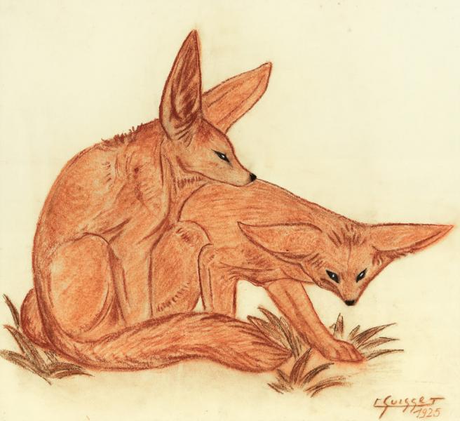 Couple de fennecs, 1925 Gaston SUISSE