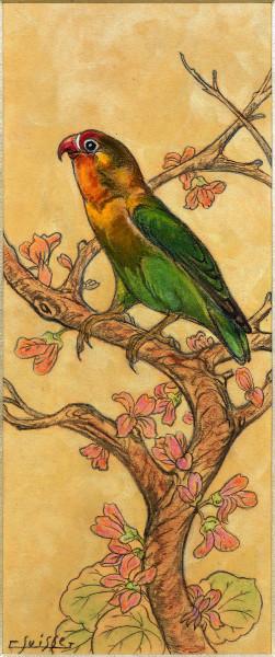 Perroquet dans un arbre de Judée Gaston SUISSE