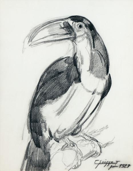 Toucan, 1927 Gaston SUISSE