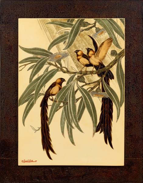 Veuves dans les Eucalyptus en fleurs, circa 1940 Gaston SUISSE