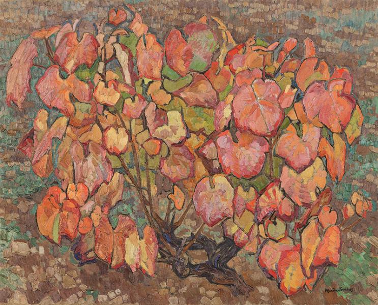 Pied de vigne en automne Jacques MARTIN FERRIERES