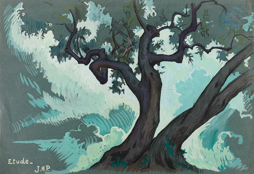 Etude d'Arbre