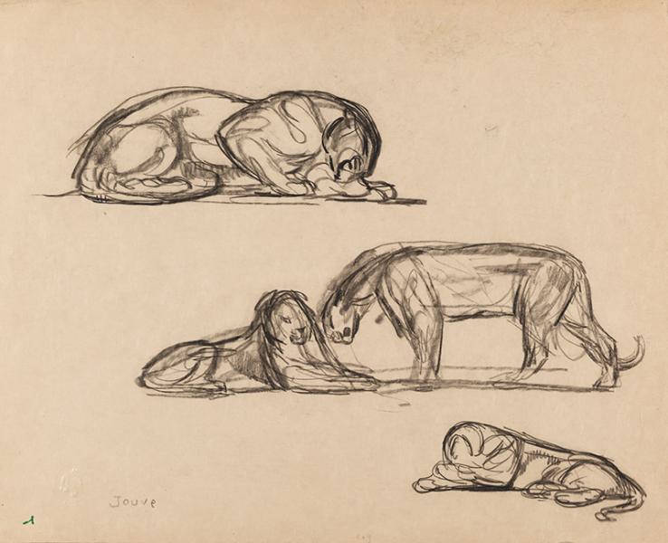 Esquisse de panthères Paul JOUVE
