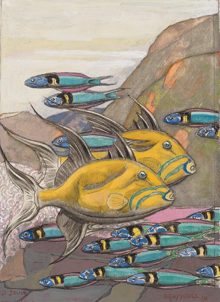 Poissons des Bermudes, 1956 Paul JOUVE
