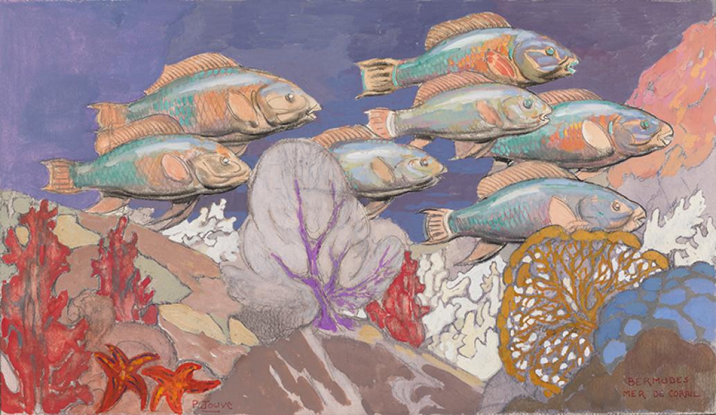 Poissons des Bermudes, mer de Corail, circa 1957 Paul JOUVE