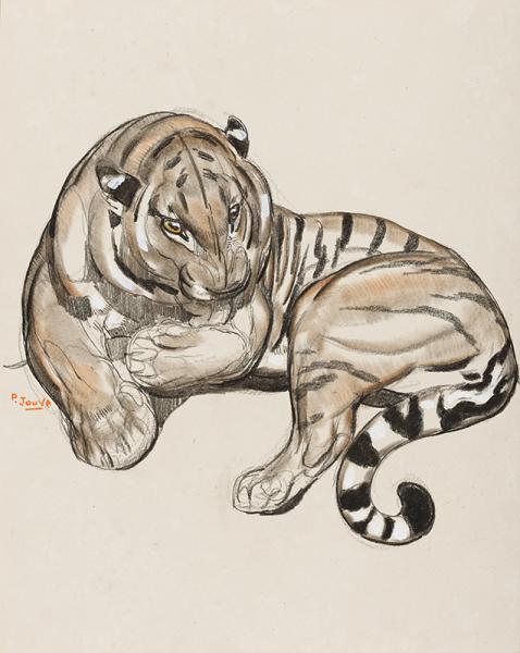 Tigre couché se léchant la patte Paul JOUVE