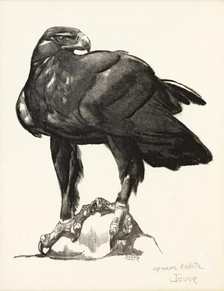 Aigle royal, 1948 Paul JOUVE