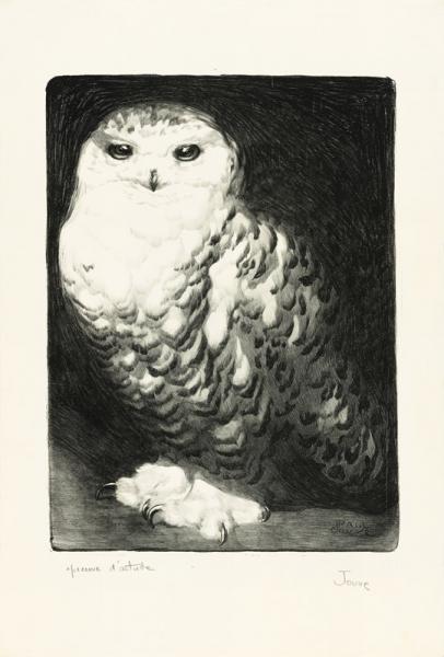 Harfang des neiges, c. 1911 Paul JOUVE