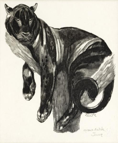 Panthère branchée, c. 1948 Paul JOUVE