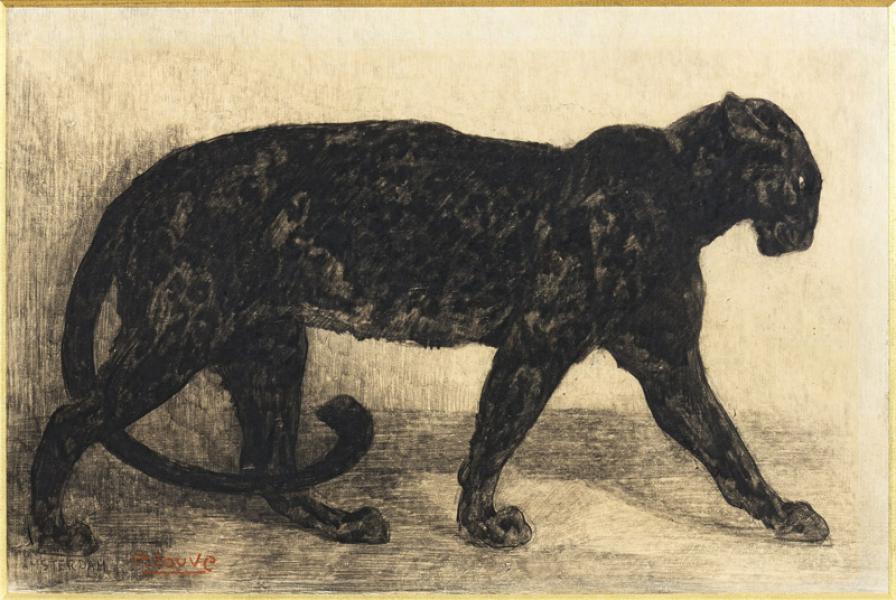 Panthère noire, 1908 Paul JOUVE