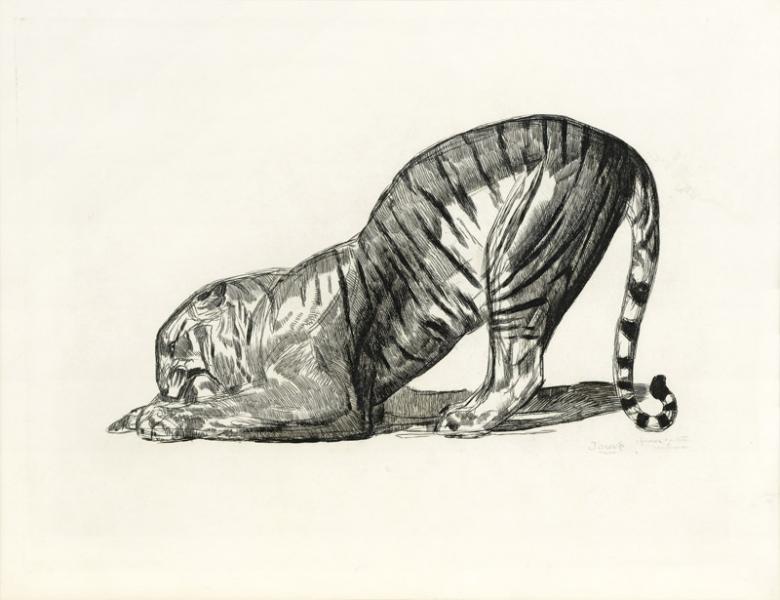 Tigre sur sa proie, 1931 Paul JOUVE