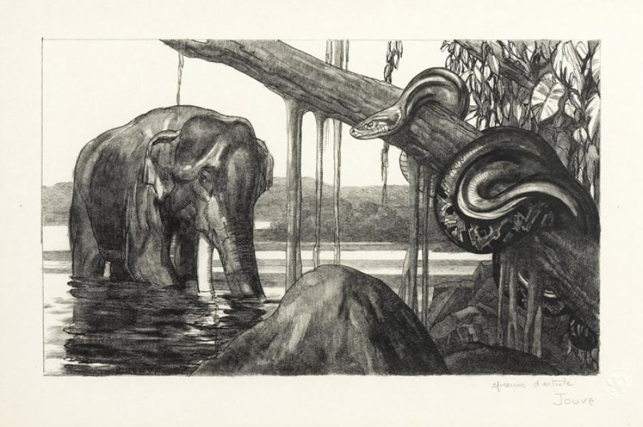 Éléphant et python, c. 1948 Paul JOUVE