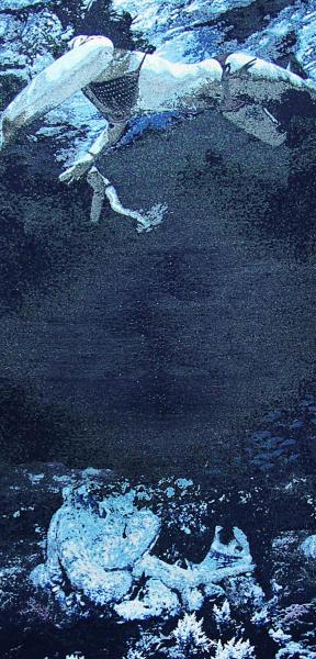 Bain de minuit (pieuvre), 2013 Laurence AËGERTER