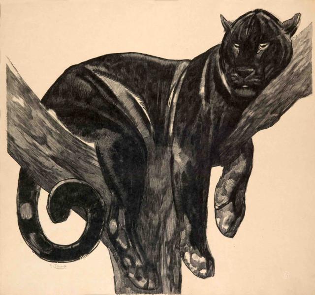 Panthère noire branchée, c. 1927 Paul JOUVE