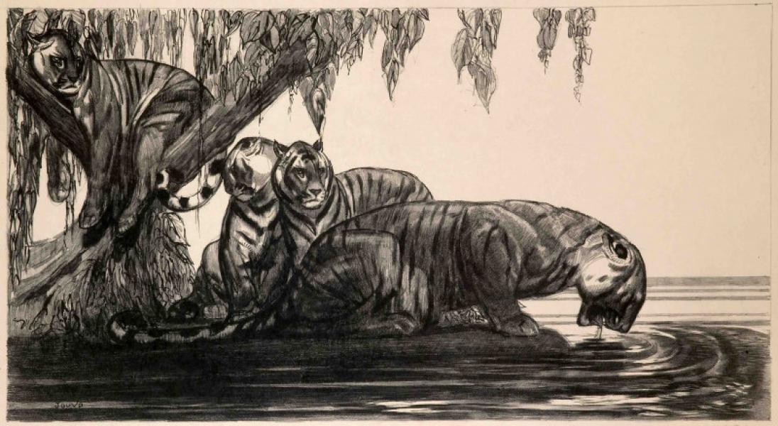 Tigres s’abreuvant, c.1937 Paul JOUVE