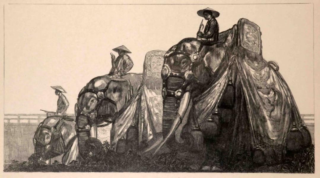 Éléphants à Hué, c. 1937 Paul JOUVE