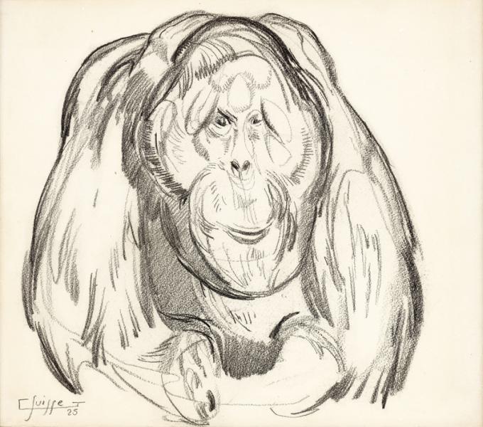 Orang-outang, 1925