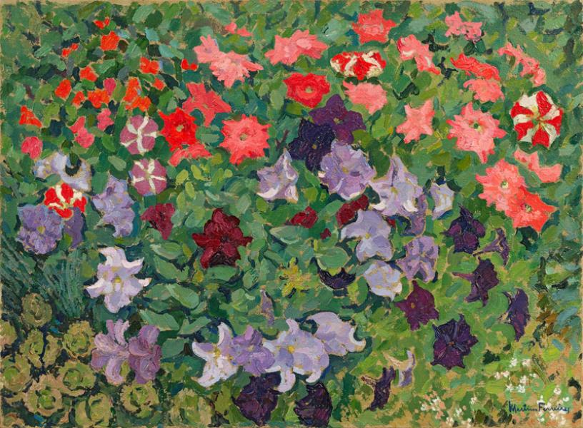 Jardin sud, petunias roses, mauves et violets Jacques MARTIN FERRIERES