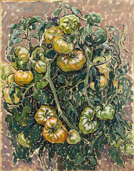 Plant de tomates Jacques MARTIN FERRIERES