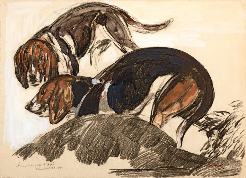 Chiens d'équipage, 1956