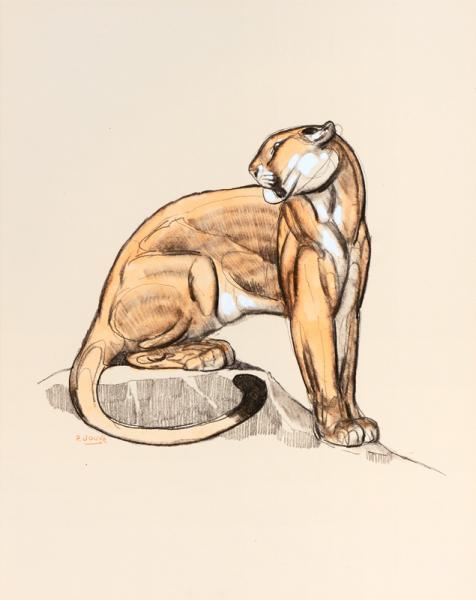 Panthère assise sur un rocher