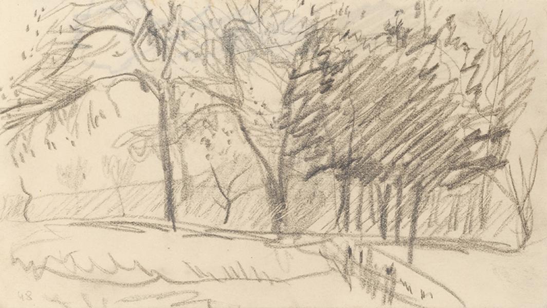 Esquisse, les arbres