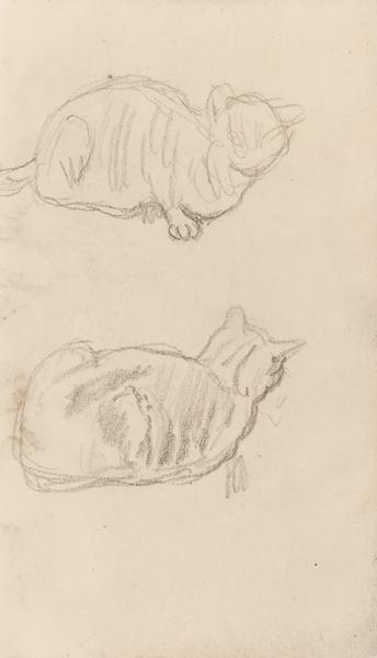 Etude de chats, circa 1895
