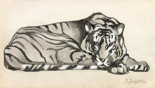 Tigre couché, 1923 Gaston SUISSE